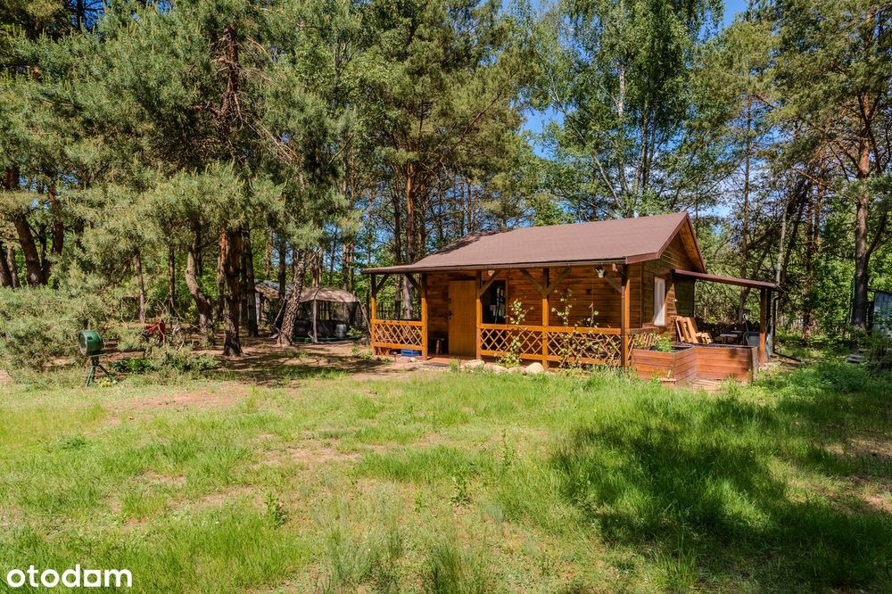 Domek całoroczny w sosnowym lesie – 1192 m² spokoju 50 km od Warszawy