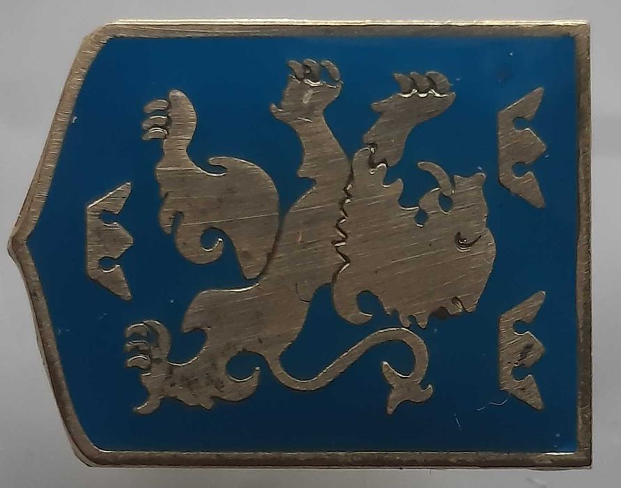 Фрачний значок Галичина.