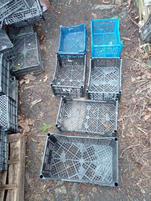 Ящики фруктовые/овощные Пластиковые .