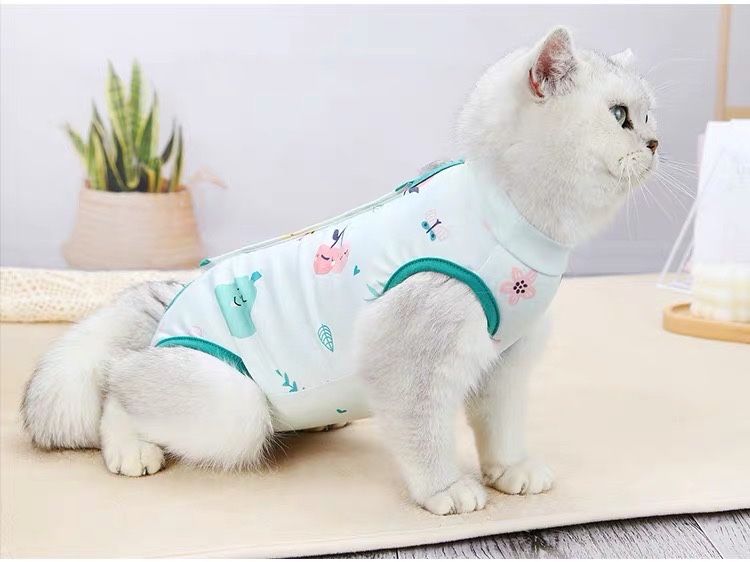 Roupa para Cão ou Gato Tamanho XL (4-6kg) - Nova por Estrear