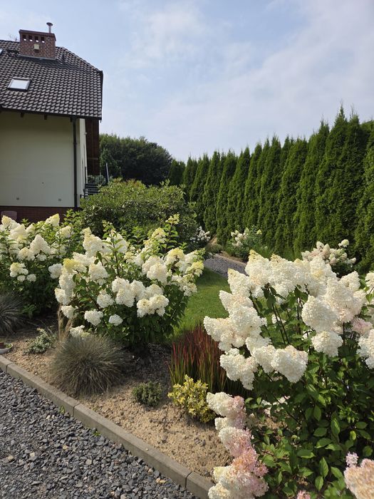 Zatrzymaj się -Apartamenty Stronie Śląskie