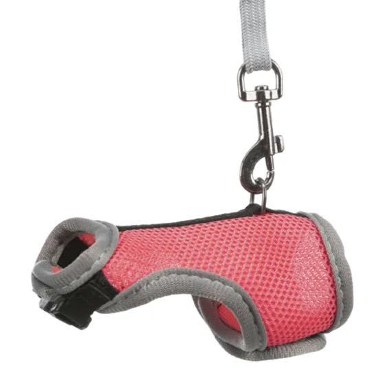 Шлея - жилетка для щуриків