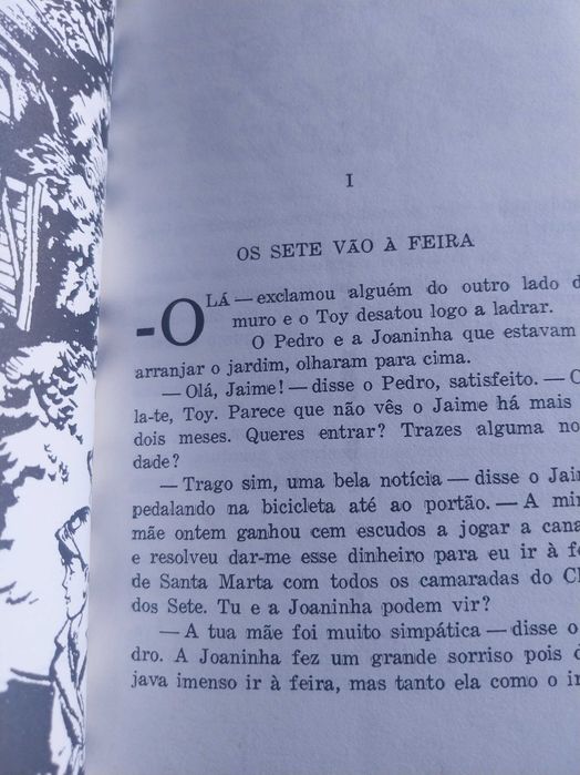 2 livros da Coleção os Sete