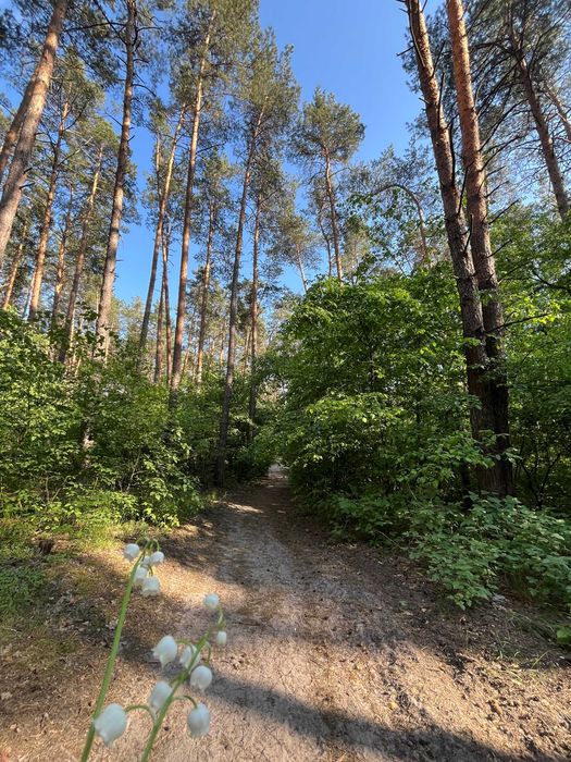 Багатокімнатна квартира за адресою (площа 216,7 м²) - Atlanta.ua - фото 22