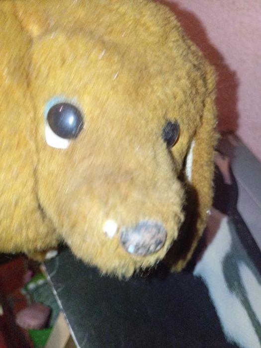 Brinquedo cao pilhas nao sei se fuciona