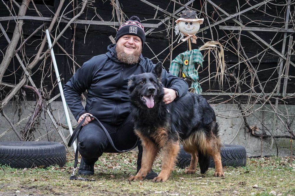 Aira - piękna suczka w typie owczarek niemiecki