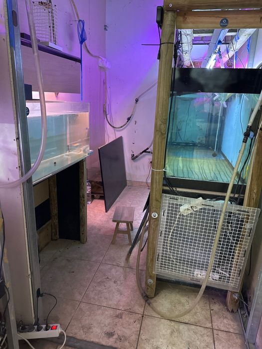 Fishroom aquários e estantes