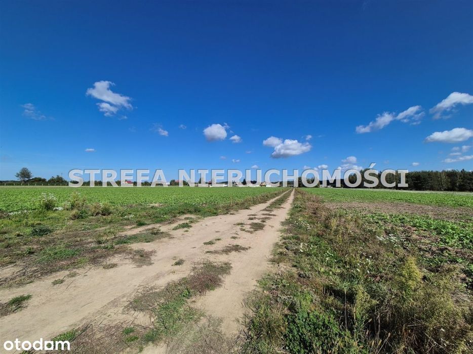 Karolinów, Działka Z Wz, Pow. 1185 M2 - Widok 4