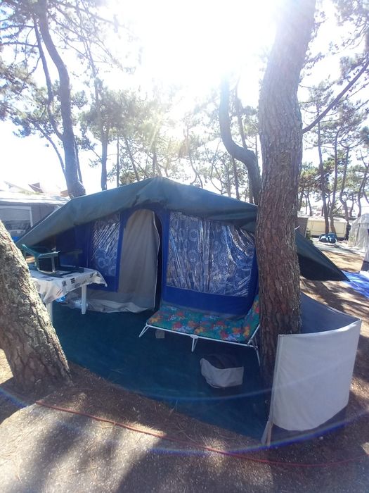 Auto-tenda Grou Estimada