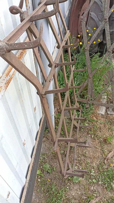 Борона Гусяча лапка