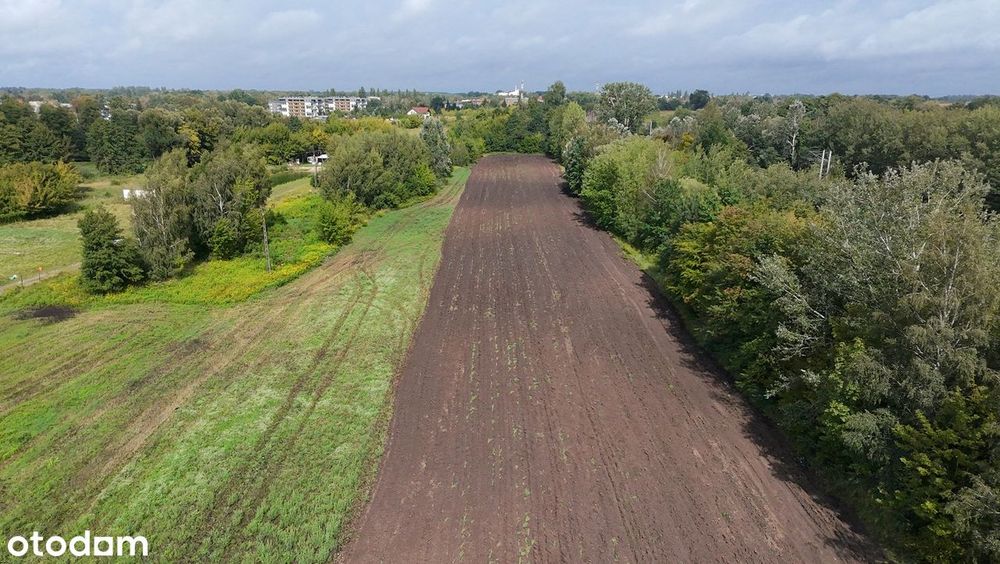 Działki budowlane 888 m² i 889 m² Sochaczew, Malesin, Boryszewska - Widok 5