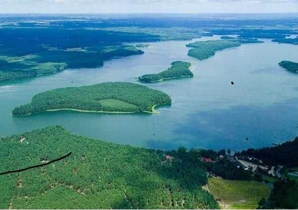 Oferta Wynajmu – Domek Letniskowy w Borsku