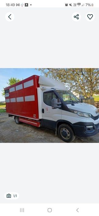 Transport zwierząt
