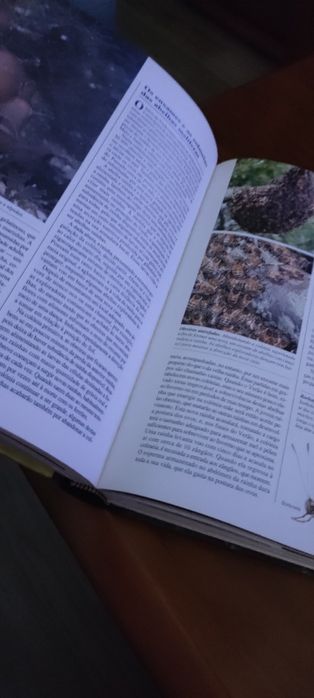 O Mundo Maravilhoso dos Animais Selvagens – Seleções do Reader's Digest