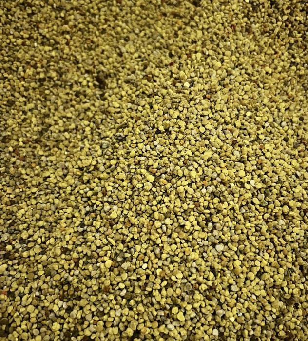 pyłek, pyłek pszczeli kwiatowy kolorowy miód pasieki słoik