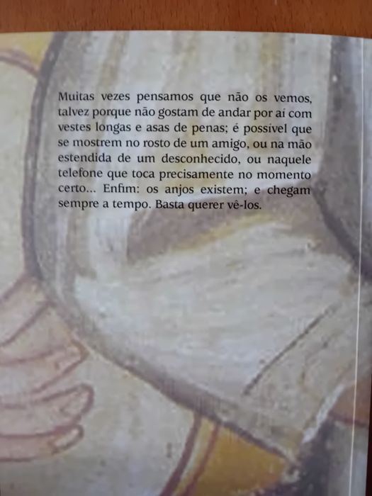 Chegam a tempo historias de anjos da guarda