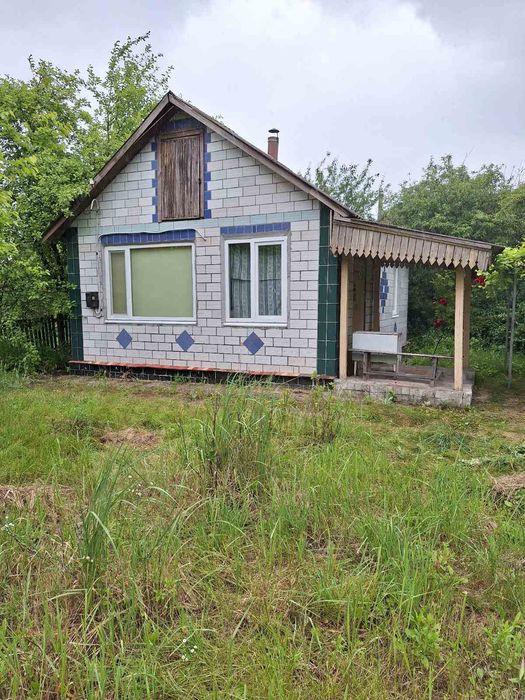 Дача біля озера серед природи