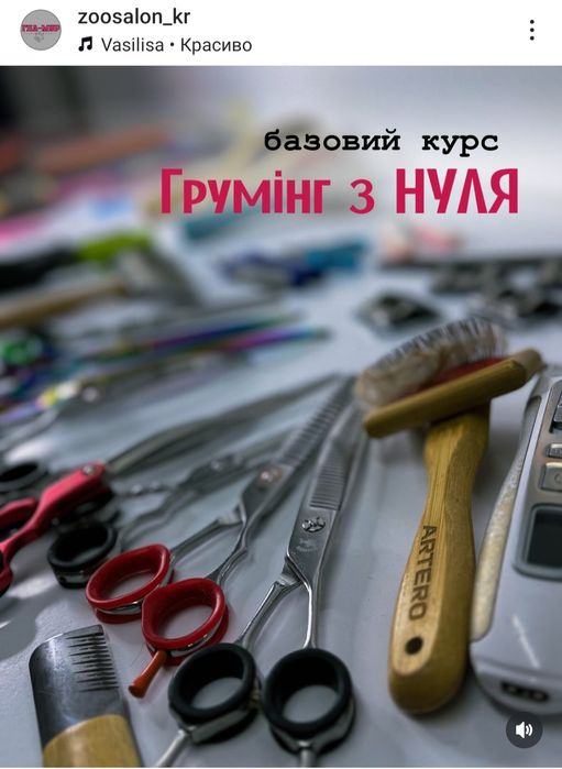 Курсы груминга  ! Базовый курс с нуля . НОВЫЙ СТАРТ 10.01