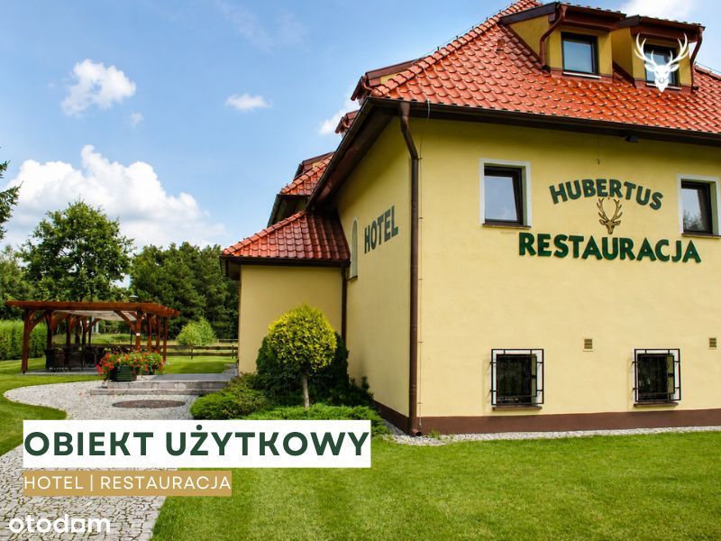 Ponad 1,2 ha terenu | Gotowy biznes z ogromnym potencjałem