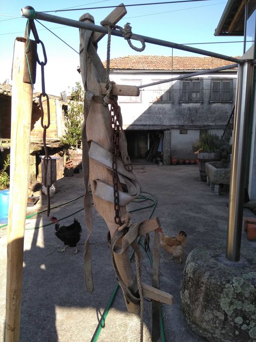 Charrua e 2 cangas de bois antiga