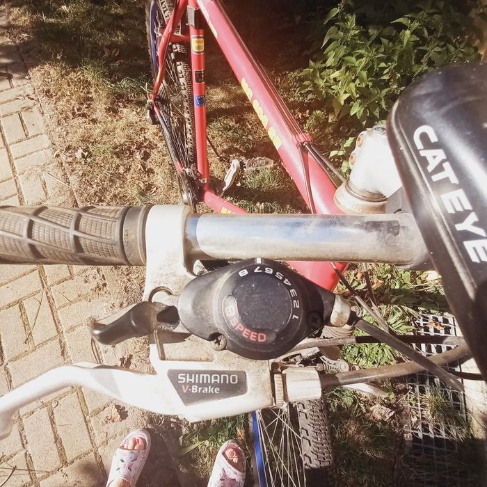 Rower męski "Magnum"