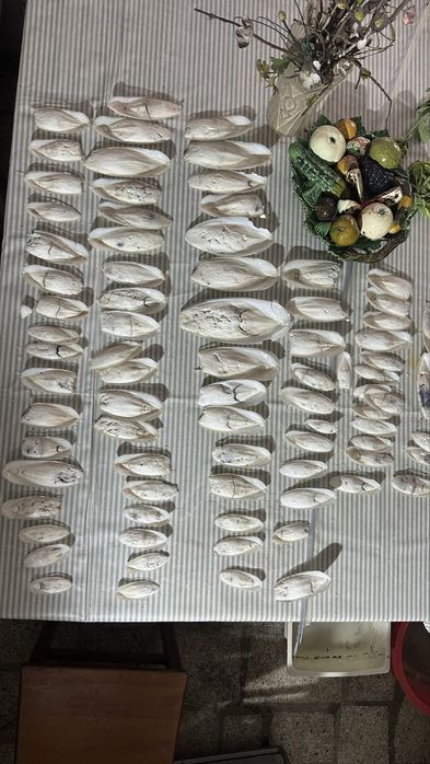 Osso choco calcio natural para aves