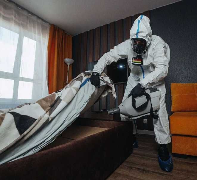 Дезінфекція, дезінсекція, дератизація від клопів та комах без запаху