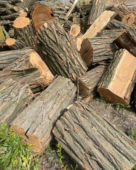 Дрова тверда порода акація дуб ясень вугілля брикет з доставкой ЯКІСТЬ