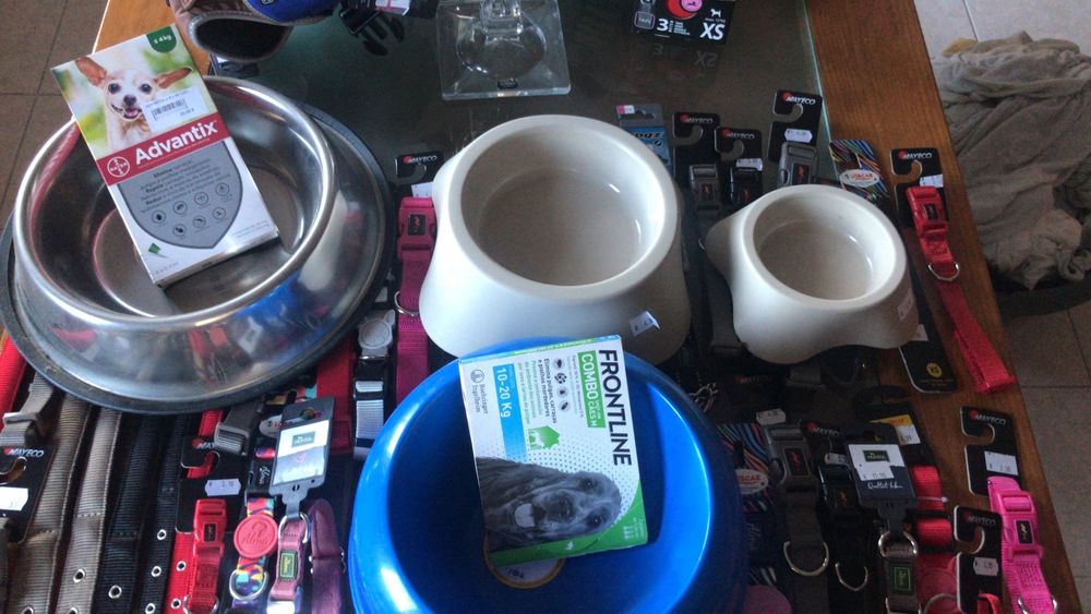 Coleira e tigela para cachorro