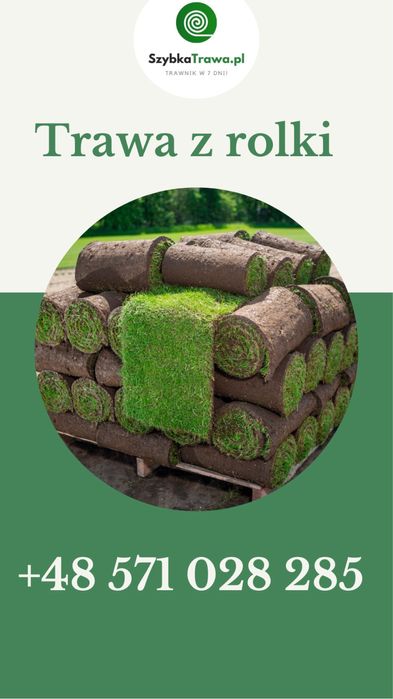 Trawa z rolki premium