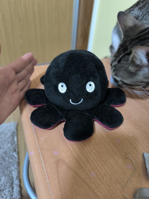 Peluche polvo 2 em 1