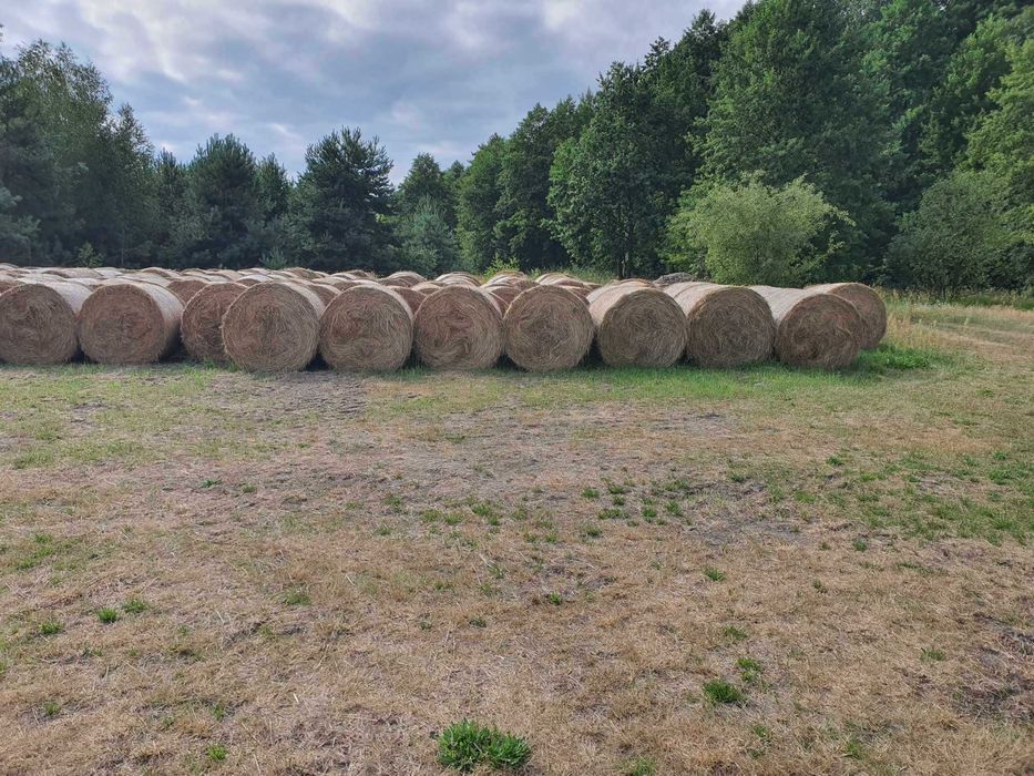 Siano, Słoma  bele 135