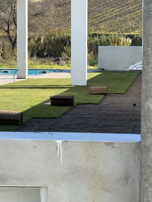 Relva natural em tapete