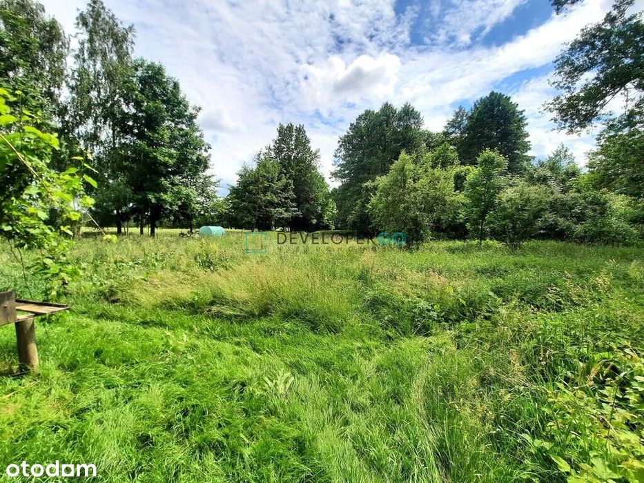 Siedlisko nad Bugiem - Zajęczniki k. Drohiczyna