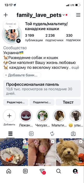 Мальчик канадский эльф