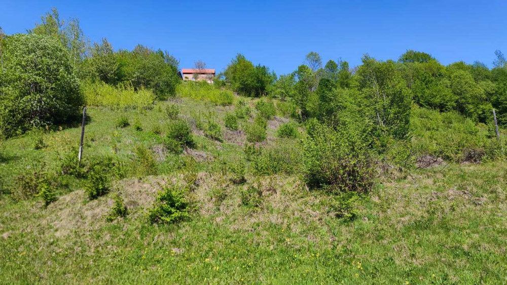 Земельна ділянка в Яремче (Дора) 0.28 га