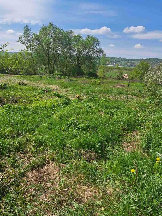 Продаж 22сотих під ,забудову ,будинок,с.Дмитровичі