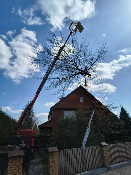 Usługi dźwigiem HDS