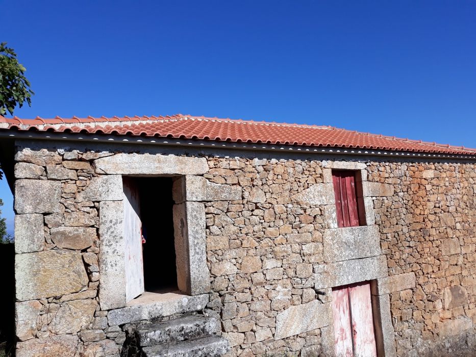 Vendo terreno e casa em Armamar, Queimada