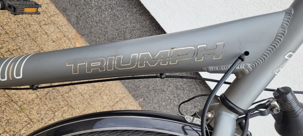 Rower damka Triumph 28 cali