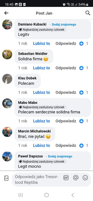 Avicularia avicularia L2 - ptasznik Avi