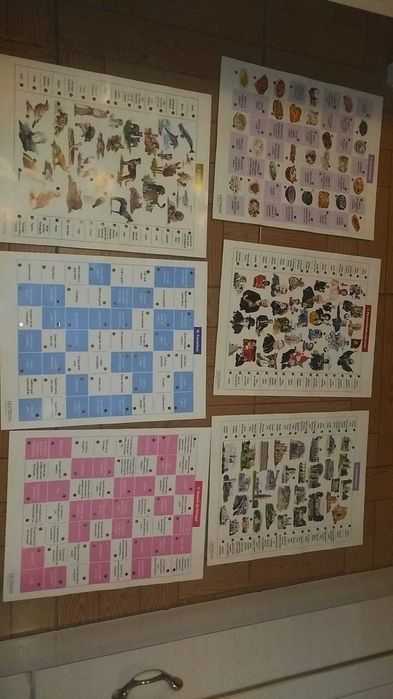 Jogo "Lectron Portugal" da Diset