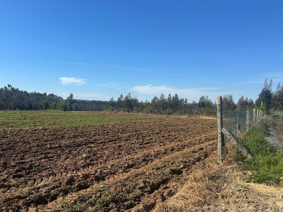 Terreno 6000m² em Vilar – Vila do Conde | Zona Industrial