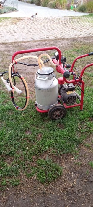 Dojarka na sprzedaż