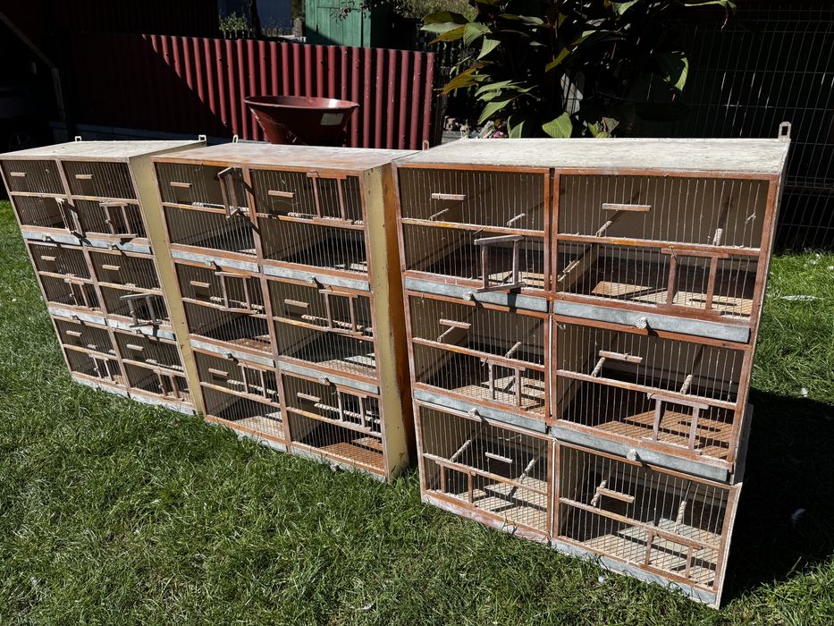 Regał hodowlany , regaly hodowlane