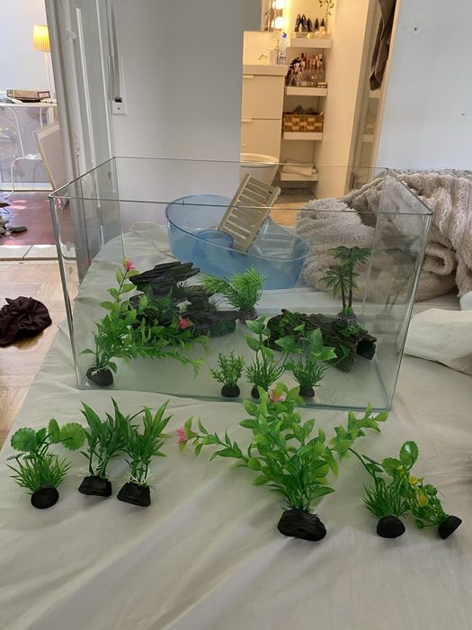 vendo aquario 28 litros com plantas incluidas e esconderijos / decoracao