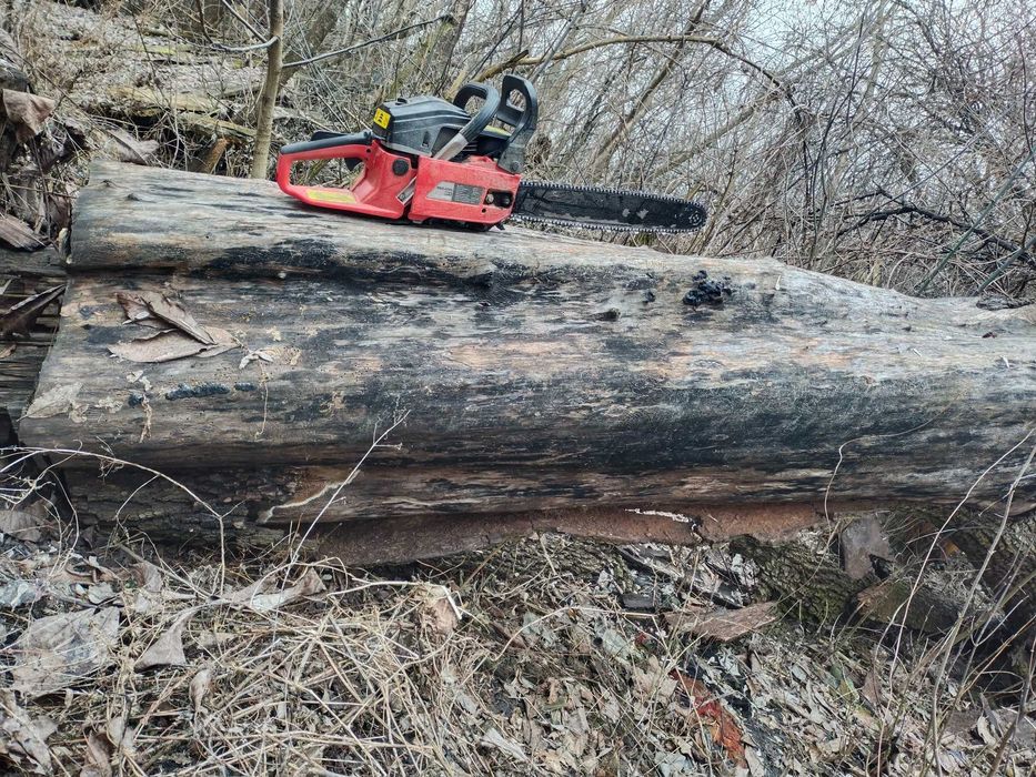 Стовбур груші під слеби