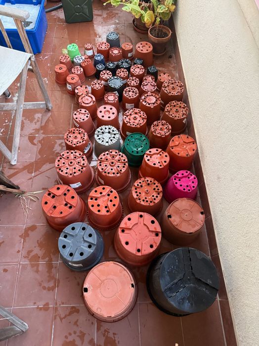Vasos em plastico para plantas x 60