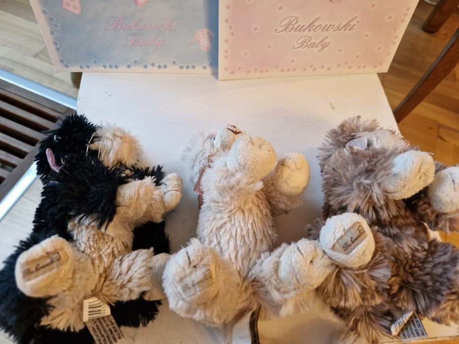 Bukowski - rodzinka pluszowych kotków + 3 różne torby gratis