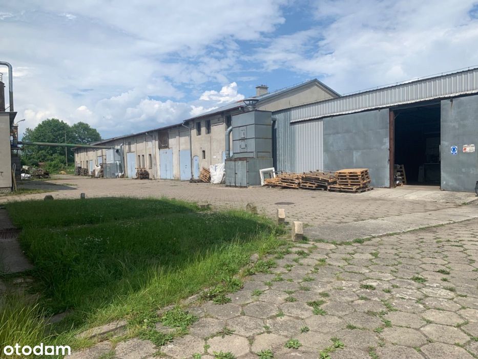 Hala Magazyn na wynajem